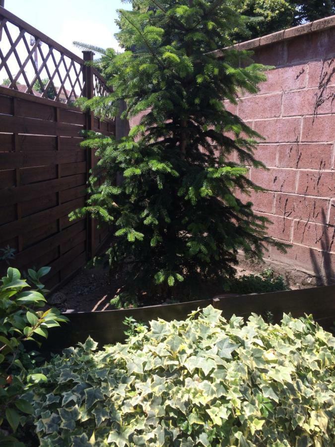 Апартаменти La Porta Nel Giardino Асті Екстер'єр фото